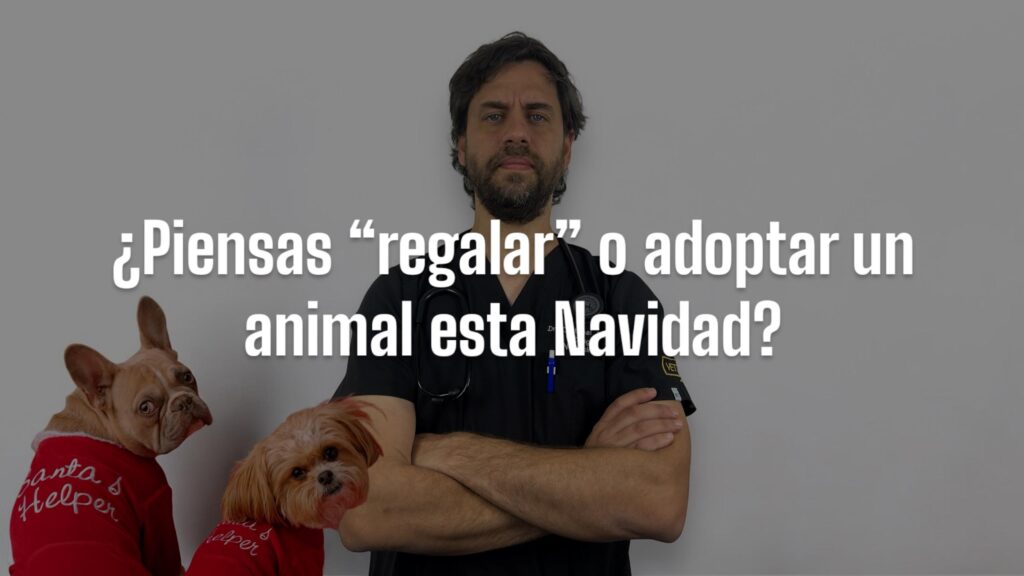 Adoptar Navidad